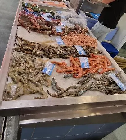 Da Rocha Summer Sea View * 波尔蒂芒