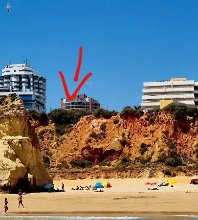 Apartamento Da Rocha Summer Sea View